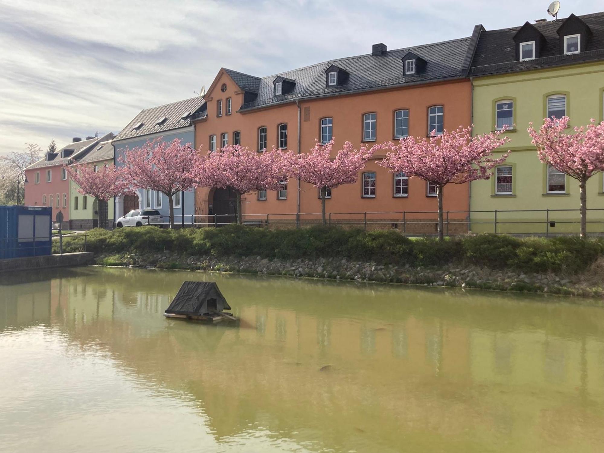 Pension Und Ferienwohnung Am Teich Schleiz Exterior photo
